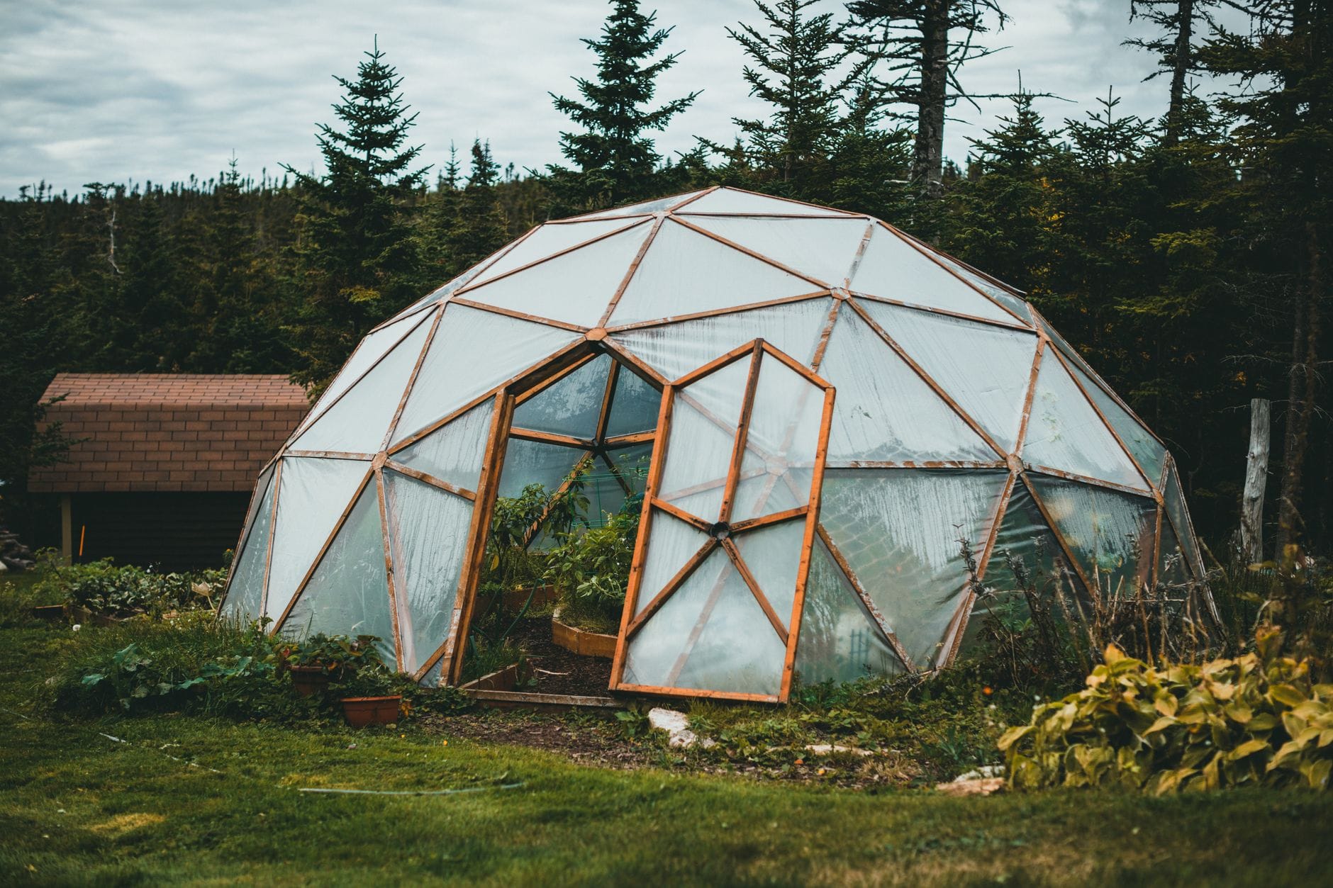 How to Build a Survival Garden That Feeds Your Family
