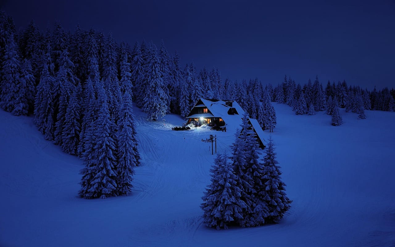 **How to Build a Long-Term Survival Shelter in the Woods That Actually Keeps You Alive**
